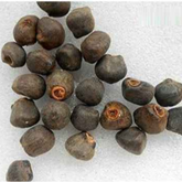 10 Potted Banana Garden Bonsai Organic Fruit Flores Healthy And Nutritious Food Fruits Dwarf Plant Seeds